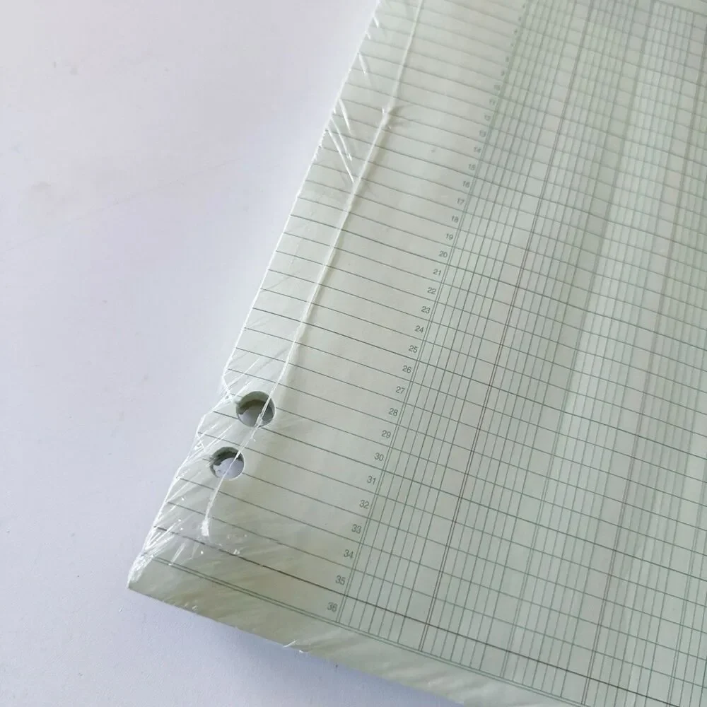 Wilson Jones G5030 Accounting Sheets, 30 Columns, 11 x 11 x 17 inches, Green NEW